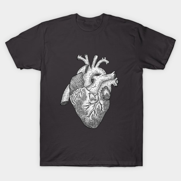 Anatomical Heart Ink Illustration T-Shirt by bblane